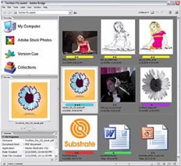 download adobe cs2 illustrator